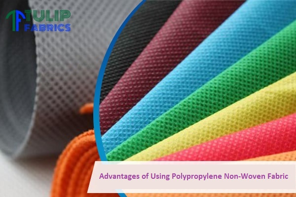 Advantages of Using Polypropylene Non-Woven Fabric