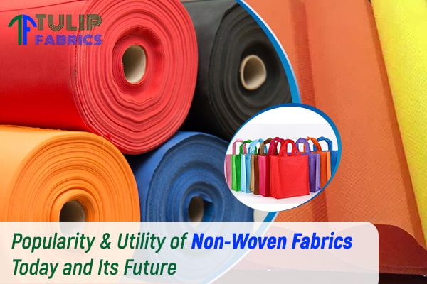 Popularity & Utility of Non-Woven Fabrics Today and Its Future